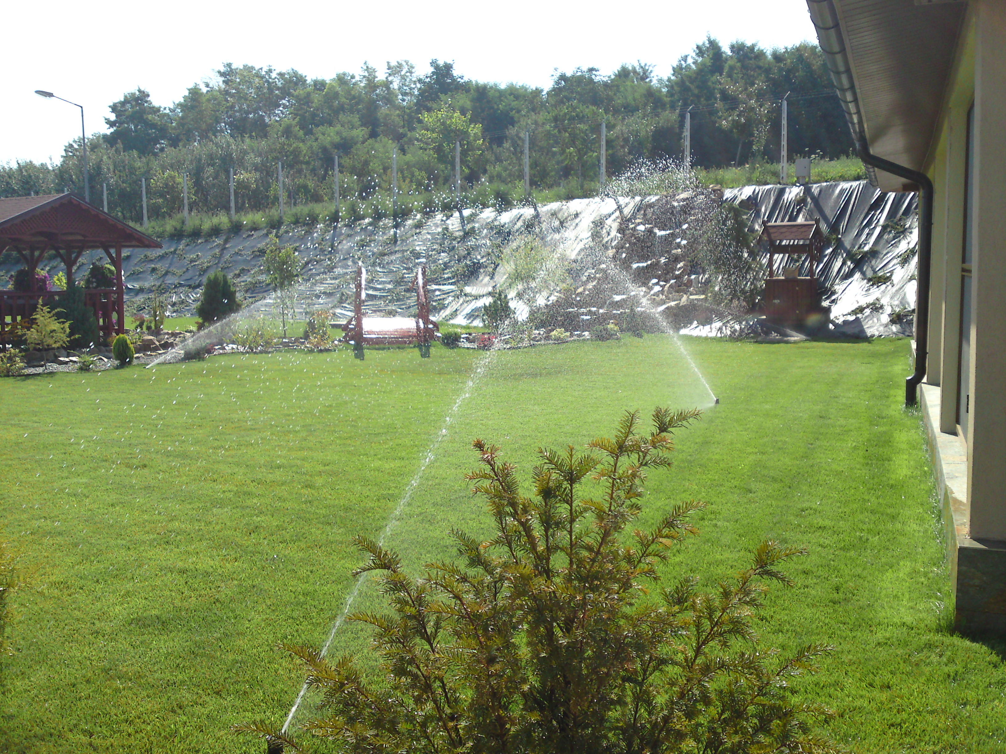 DSC00103 (1)